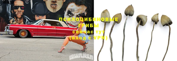 героин Алзамай