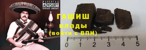 хмурый Алексин