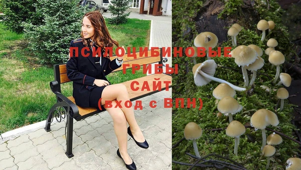 кокс Абдулино