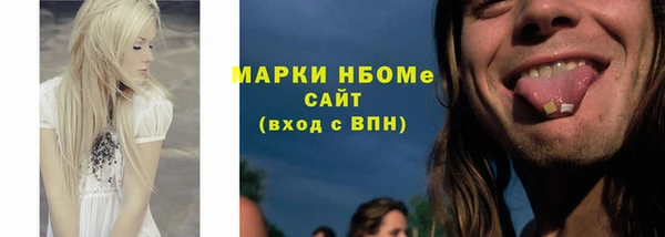 хмурый Алексин