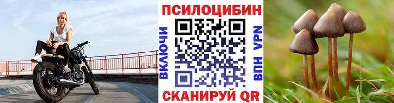 Псилоцибиновые грибы мухоморы  blacksprut рабочий сайт  Донской 