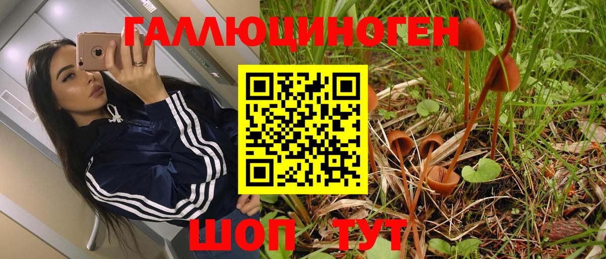 Псилоцибиновые грибы MAGIC MUSHROOMS Донской
