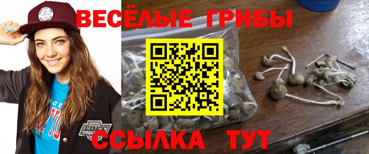 Псилоцибиновые грибы мухоморы  Псилоцибиновые грибы MAGIC MUSHROOMS  Вход с VPN  Донской 